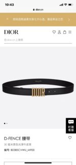 DIOR-BELT