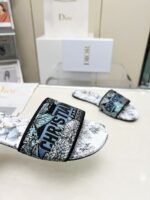 DIOR-SHOES