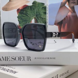 HERMES-GLASSES