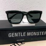 GENTLE MONSTER-GLASSES