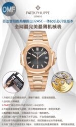 PATEK PHILIPPE-WATCHES - Image 9