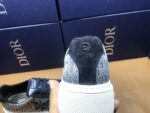 DIOR-SHOES