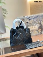 DIOR-BAGS