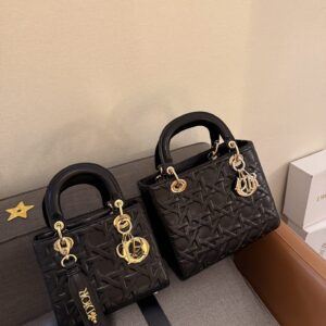 DIOR-BAGS