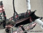 DIOR-BAGS - Image 9