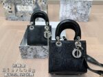 DIOR-BAGS